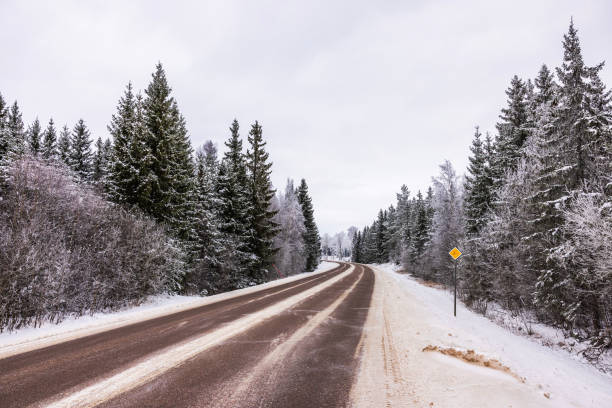 Winter landscape with snow-covered forest trees along an asphalt highway. Sweden.
