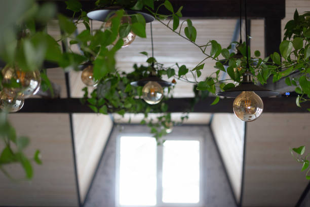 istock Indoor greenery and pendant lighting create a cozy atmosphere in a modern space with large windows during daytime 2172410917
