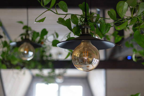 istock Elegant pendant lights surrounded by lush greenery in a cozy indoor cafe setting during daylight hours 2172410929