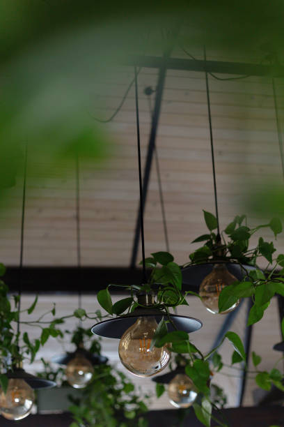 istock Hanging light fixtures adorned with greenery create a cozy ambiance in a rustic indoor space during the evening hours 2172410935