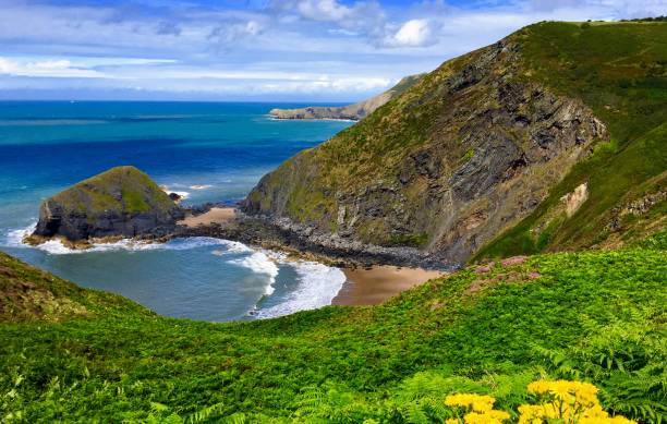 istock Carreg y Nodwydd Welsh Coast Path 2172412566