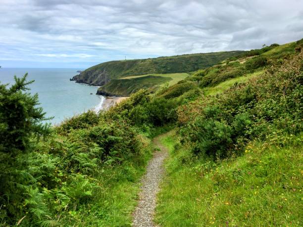 istock Welsh Coastal Path with beach in the distance 2172412820