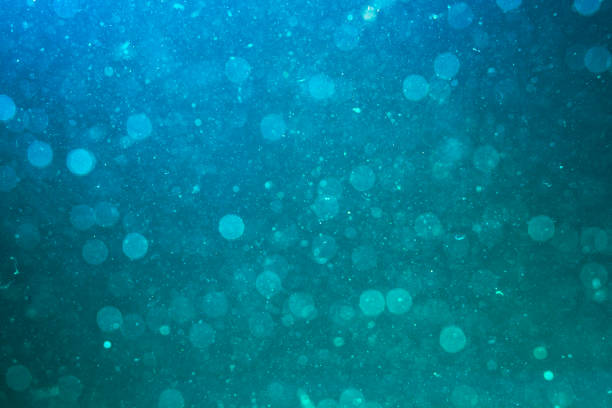 Underwater sea background . Abstract underwater sea background.