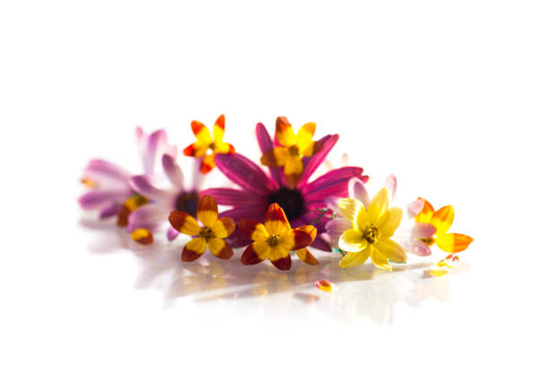 Close up of decorate bouquet in the garden