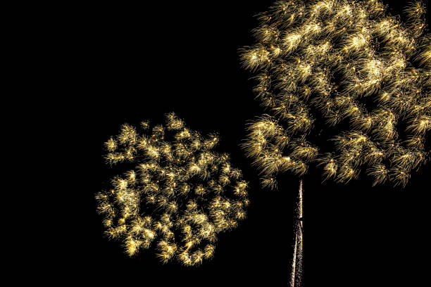 istock Fireworks lighting up the night sky. 2172416872