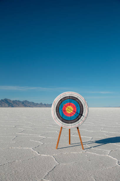 istock A target with Arrows in Bullseye 2172418703