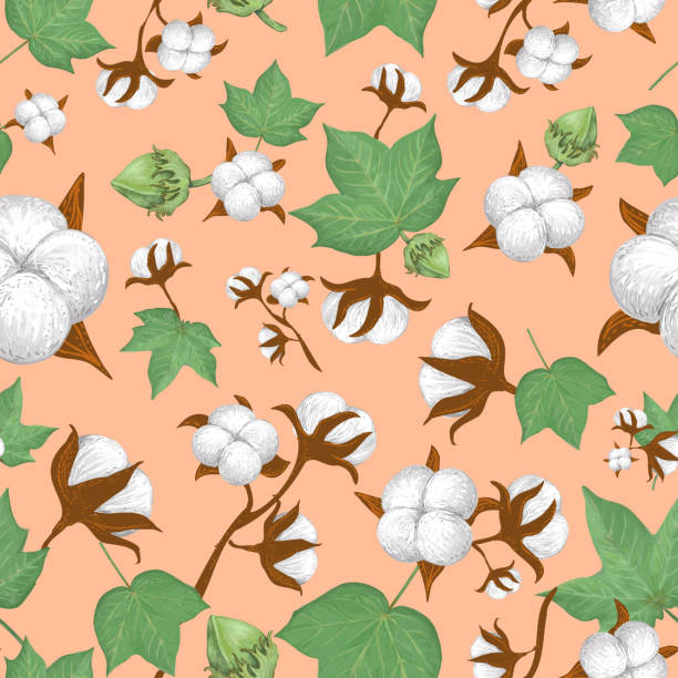 Hand-drawn delicate floral vector seamless pattern with cotton plant elements on peach background. Decorative illustration in vintage style for printing on fabric, wrapping, wallpaper, apparel, packages etc.