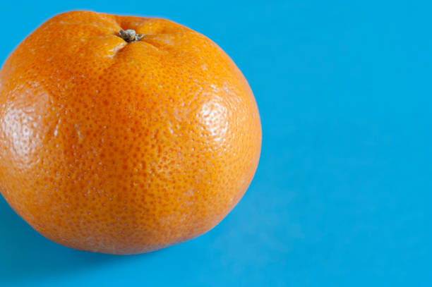 istock A freshly picked mandarin from the Mediterranean garden on a blue background. 2172428962