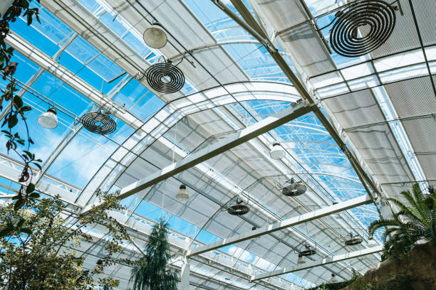 istock Glasshouse roof 2172430717