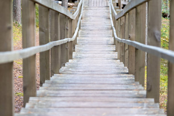 A long wooden walkway with railings leads through a forest, offering a peaceful path for hiking and nature exploration.