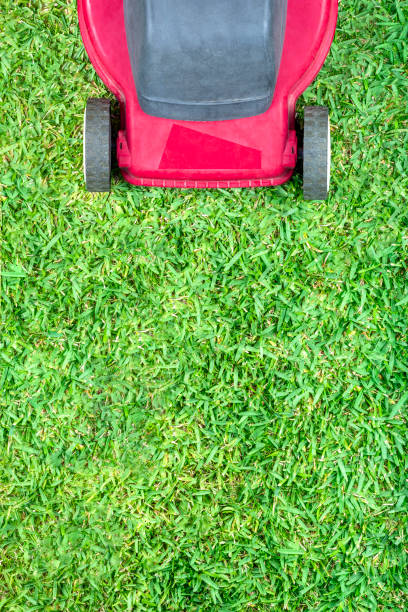 Workers are trimming the park lawn with a lawnmower.