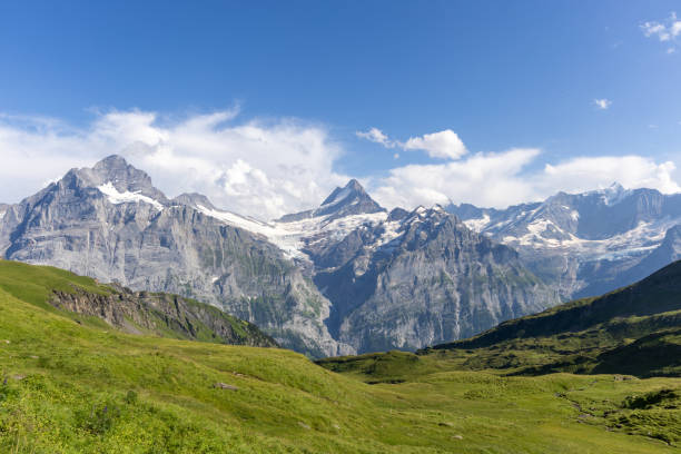 istock Swiss mountain panorama with green grass foreground 2172439135