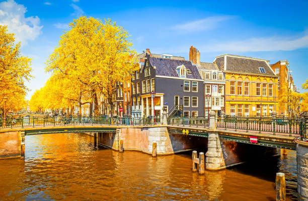 istock bridges of canal ring in Amsterdam 2172446749