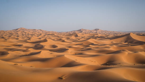 istock The landscape of Erg Chebbi in Morocco 2172448493