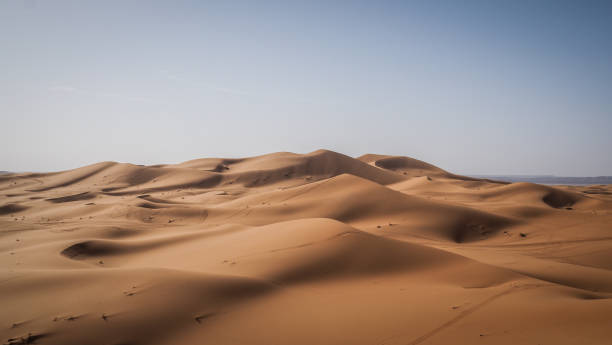 istock The landscape of Erg Chebbi in Morocco 2172448598