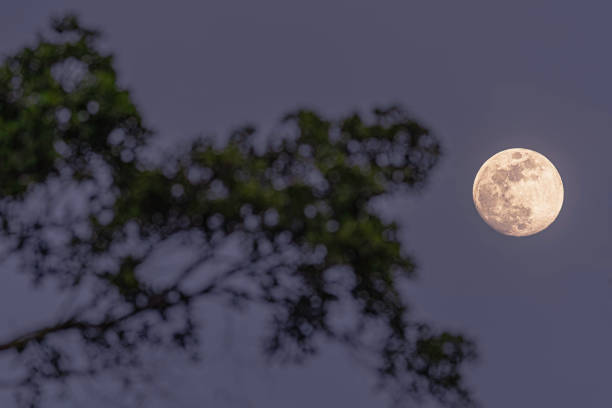 istock Moon Rise Landscape Photography 2172451993