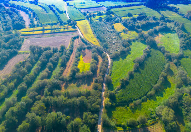 Small plots of agricultural land delimited by hedges forming a patchwork landscape called bocage.