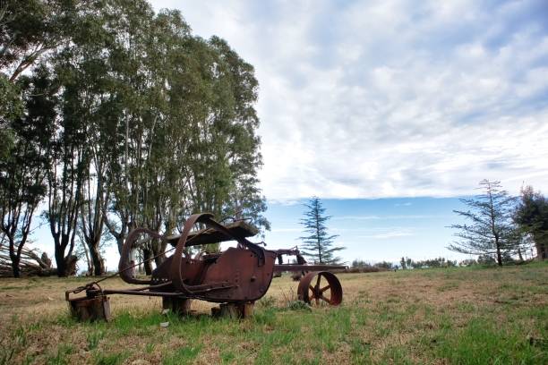 vintage plow rests against in a grassy field, trees and a cloudy sky