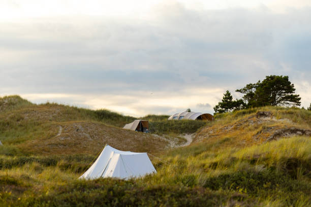 A peaceful campsite is set up among grassy dunes as the sun begins to set. Tents are positioned on a winding trail, surrounded by lush vegetation and a serene sky.