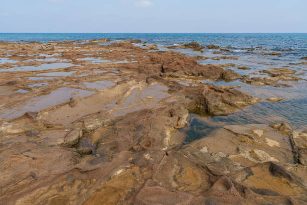 A coastal scene featuring a rocky shoreline with shallow tide pools, extending towards a calm blue sea under a clear sky. Perfect for nature and seascape themes