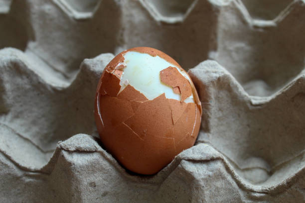 organic chicken eggs cracked on egg carton