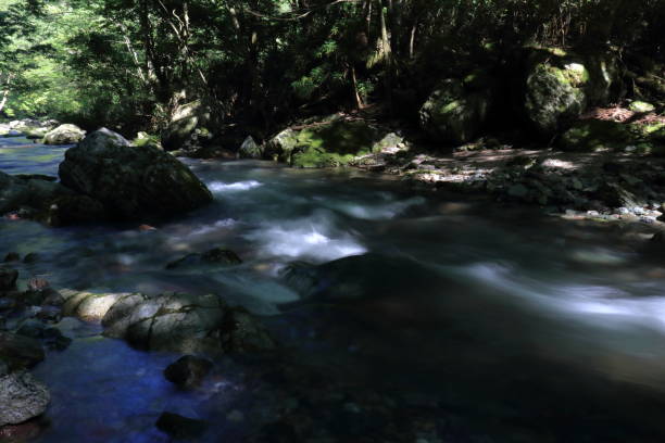 istock Odamiyama Valley, Clear Stream, Summer (Ehime Prefecture) 2172467622