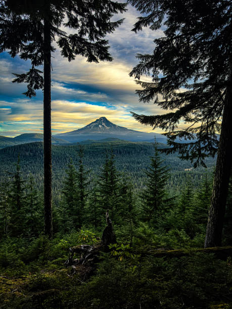 Mt Hood viewed from the PCT in Oregon
