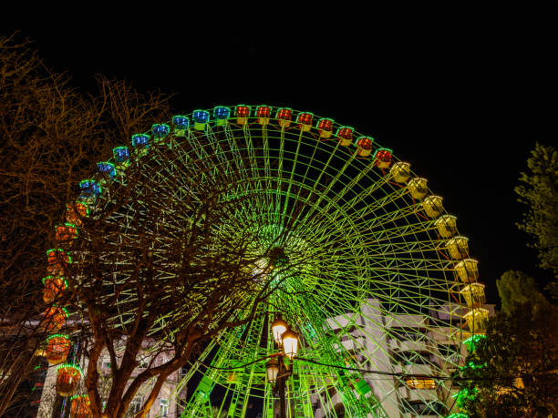Illuminated Ferris Wheel Against Night Sky