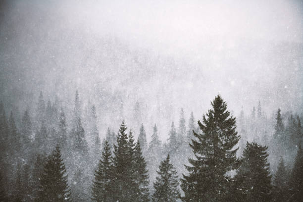 istock Snowstorm in winter mountains 2172475796