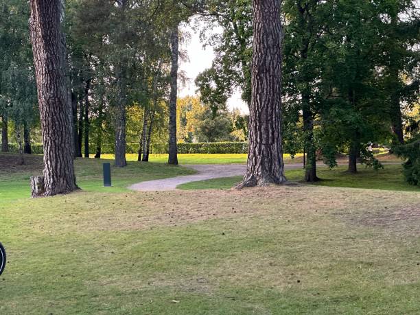istock Boulognerskogen City Park 2172476400