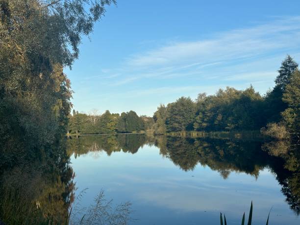 istock Boulognerskogen City Park 2172477343