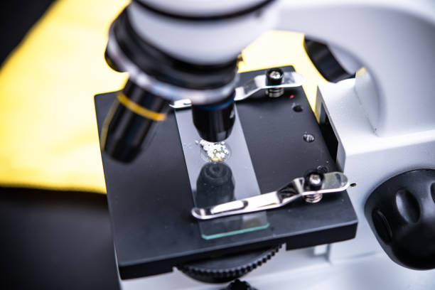 istock Detailed Microscope Image with Glass Slide and Specimen for Scientific Research and Education 2172477653