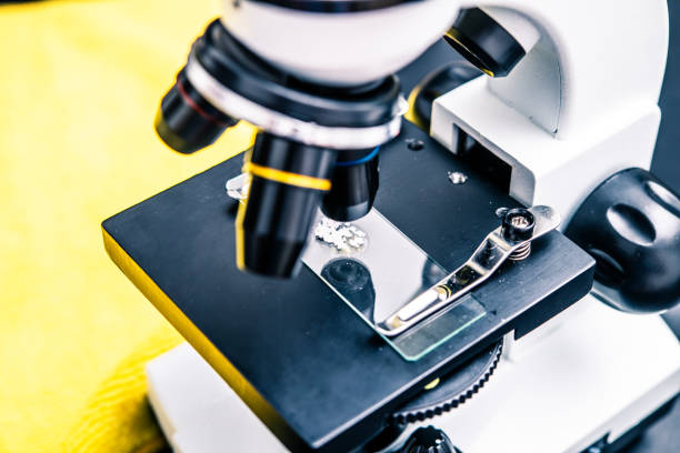 istock Close-up of a laboratory microscope examining a glass slide with specimen, showcasing modern scientific research tools and techniques for biology and med-tech applications 2172477671