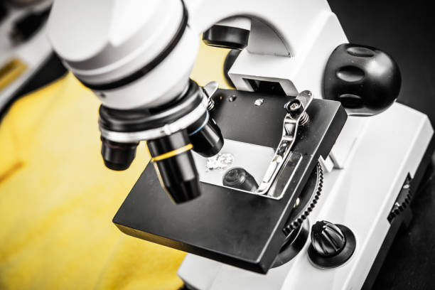 Laboratory microscope positioned above a prepared slide, highlighting scientific research tools used in biology and education for observing microscopic samples.