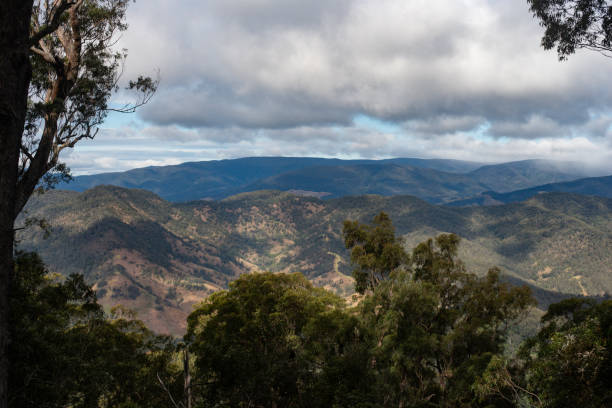 istock Snow day in the Barrington Tops 2172478247