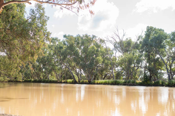 idyllic river in outback Queensland