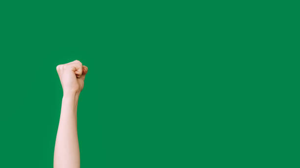 Knocking hand. Protest arm. Demanding gesture. Female raised clenched fist striking isolated on green empty space background.