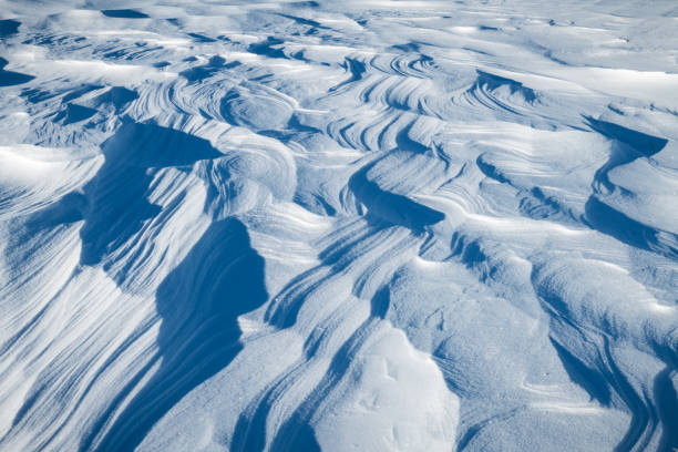 Snow texture on the field on a sunny day