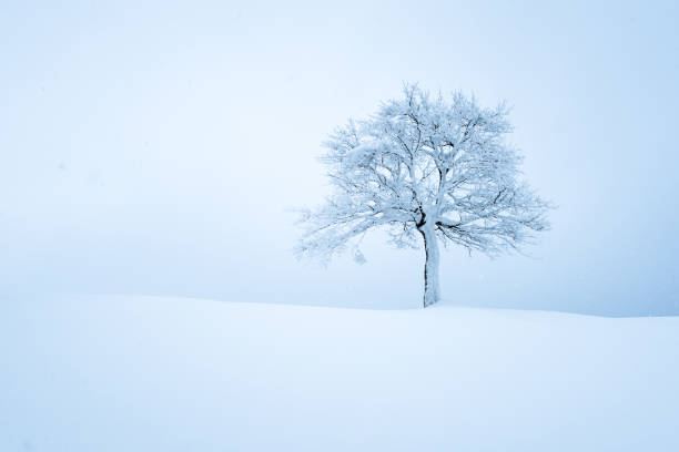 Big snowfall in Winterthur, Switzerland.