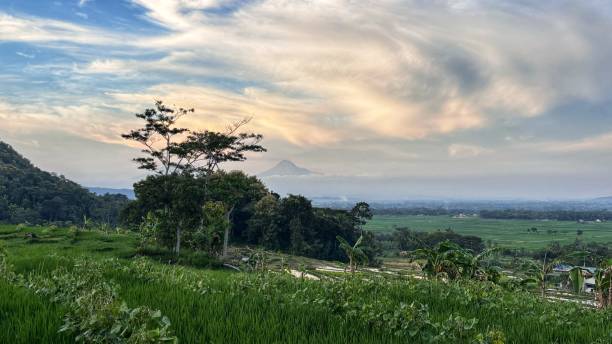 istock beautiful view of rice fields and mount merapi 2172484143