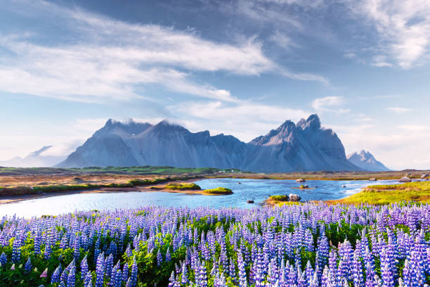 istock Famous Stokksnes mountains 2172489548