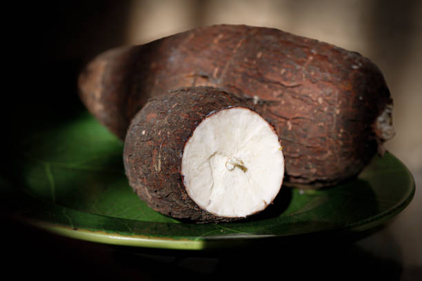 istock Cassava on a plate from the garden 2172498316