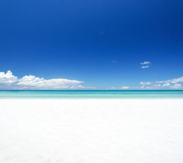 Exotic tropical white sand beach scenery for background or wallpaper