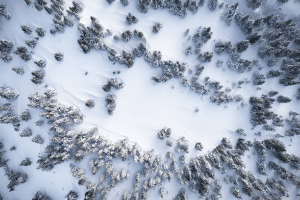 istock Aerial drone top down fly over winter spruce 2172504468