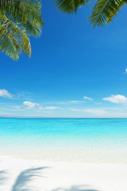 istock Tropical paradise beach scenery for background or wallpaper 2172504782