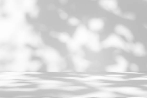 istock Studio style background wall decoration presentation uses white tones. with shadows cast from a nearby window, concept creating a decorative backdrop. 2172509961