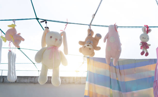 Coloured cloth hanging clips