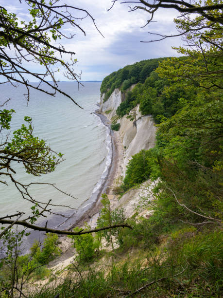 istock Coast on Ruegen on a cloudy day in summer 2172514846