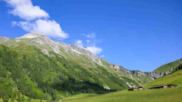 Mountains in South Tyrol on a sunny day in summer, forest, pasture, blue sky