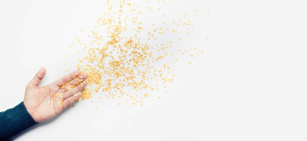 istock Gold confetti sparkling explosion from palm hand.in magic miracle and vibrant mood for celebration and party concepts.decoration background 2172515521